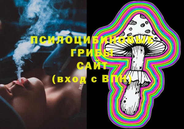 индика Волосово