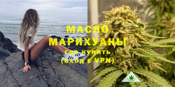 индика Волосово