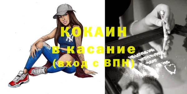 индика Волосово
