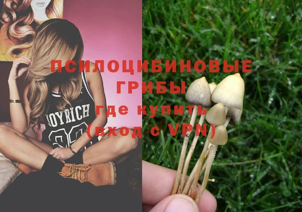 бошки Волоколамск