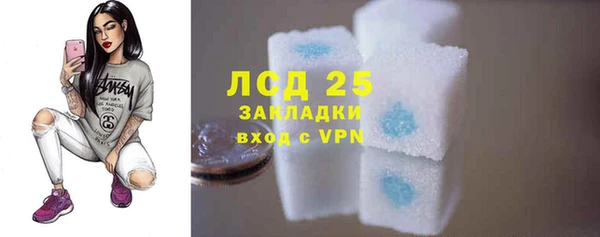 индика Волосово