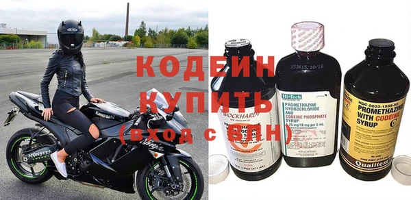 индика Волосово