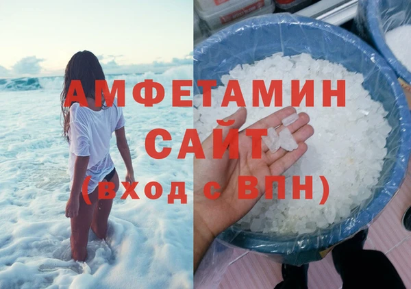индика Волосово