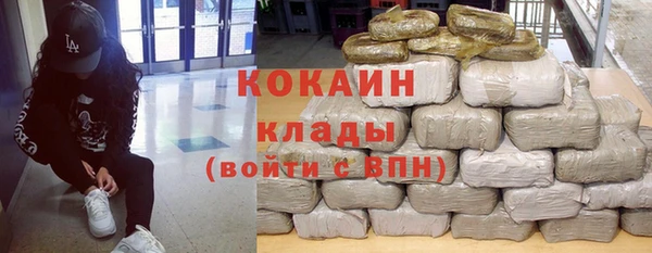индика Волосово