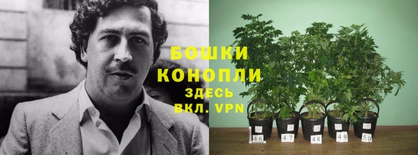 индика Волосово