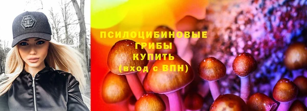 индика Волосово