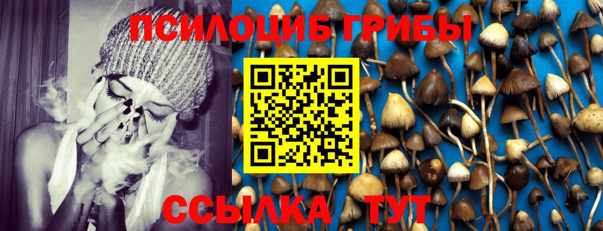 Псилоцибиновые грибы ЛСД  Можга 