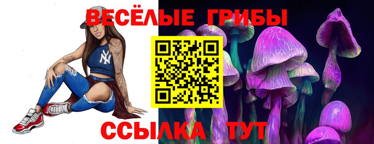 Можга  Псилоцибиновые грибы Psilocybine cubensis  Вход с VPN 