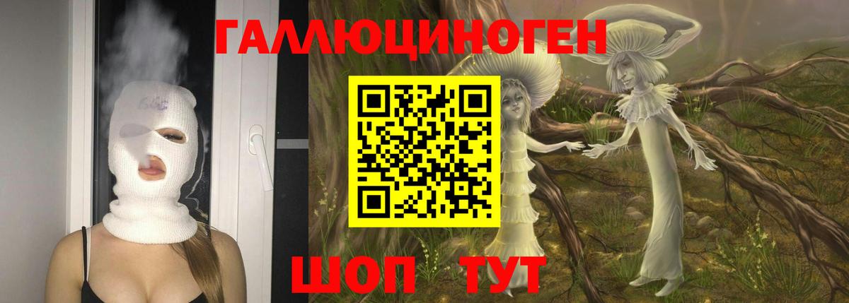 Псилоцибиновые грибы Psilocybine cubensis Можга