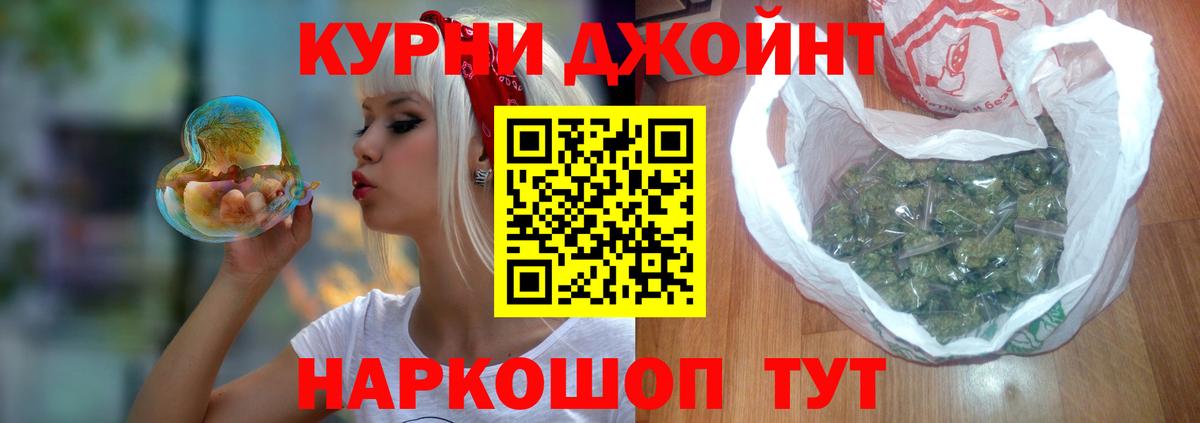 Конопля гибрид Можга